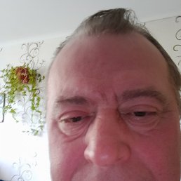 , , 54 