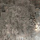 ���� �������, �����������, 63 ���� - ��������� 12 ������� 2024 � ������ ����� 24�