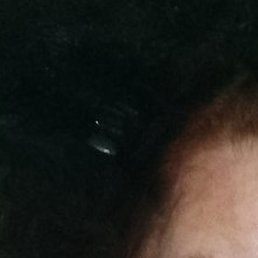 �����, �������, 44 ����