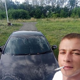 , 29, 