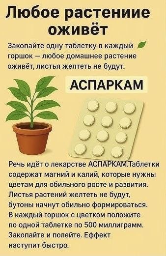 ��� ���� - 11 ����� 2026 � 20:17