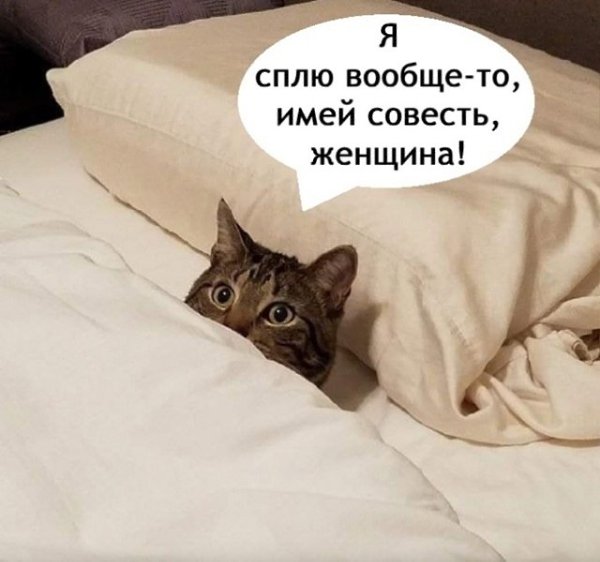      - 28  2025  11:22 - 3