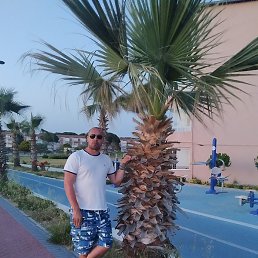 Bob, �������, 46 ���