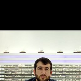 , 32, 