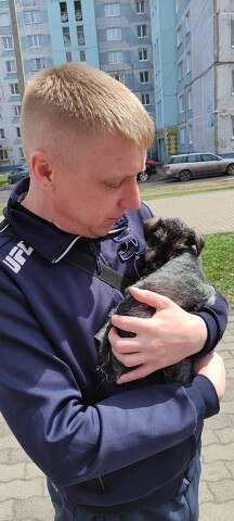 ���� ��������, ������������, 37 ��� - ��������� 30 ������ 2024