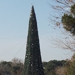 ���� �����, ������, 31 ��� - ��������� 15 ������� 2024