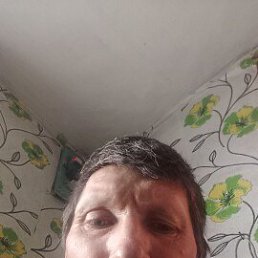 , 44, -