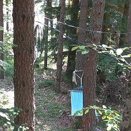 ���� �������, ���������, 43 ���� - ��������� 24 ����� 2024