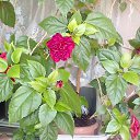 ���� �����, ����-���������, 52 ���� - ��������� 12 ����� 2026