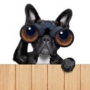 ���� �����, ������, 72 ���� - ��������� 30 ������ 2023 � ������ ���� ����������