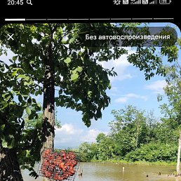 ���� ��������, �����, 52 ���� - ��������� 7 ����� 2026