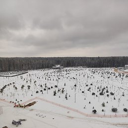 Haydar, �����-���������, 37 ���