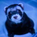 ���� ������, �������, 26 ��� - ��������� 10 ������� 2023 � ������ ���� ����������