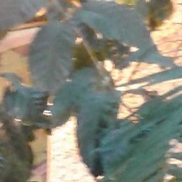 ���� +, ����������