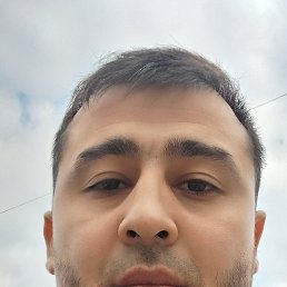 , 29, 