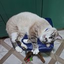 ���� �������, ��������� - ��������� 13 ������ 2025 � ������ ������ ��������