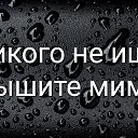 ���� ����, ������� - ��������� 6 ������� 2025 � ������ ������ ��������