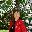 ���� �����, ���������, 50 ��� - ��������� 9 ������ 2024 � ������ ���� ����������