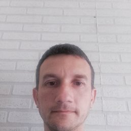 ������, 40 ���, ���������