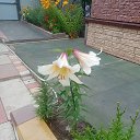 ���� ����, ��������, 65 ��� - ��������� 26 ���� 2025 � ������ �7�