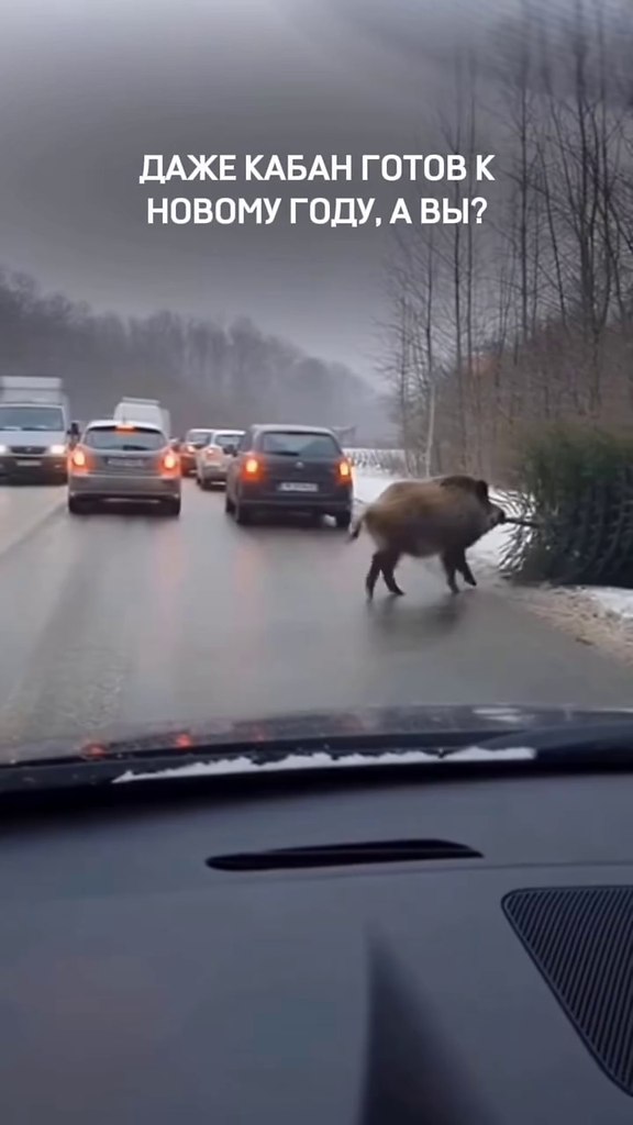 � ��, ������ � ������ ����?