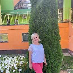 ������, ������, 52 ����