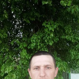 ���� ���������, �����, 39 ��� - ��������� 30 ������ 2023