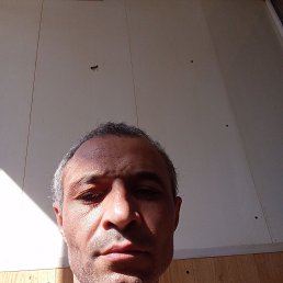 , 41, 