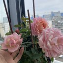 ���� Tat���, �����-���������, 52 ���� - ��������� 15 �������� 2025 � ������ ������ ��������