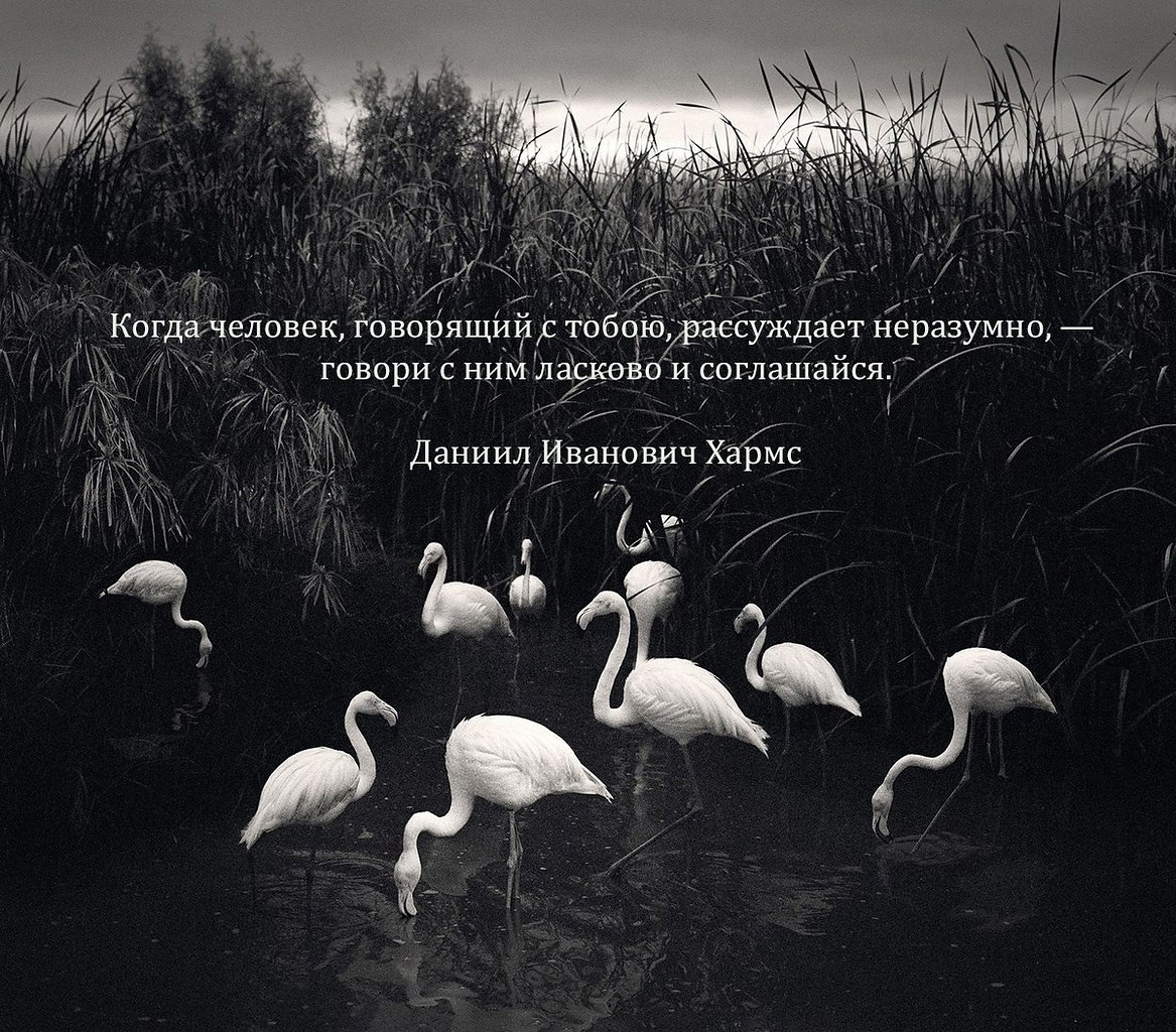 Want it! Я хочу ... - 20 октября 2025 в 10:38