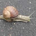 ���� �������, ������, 44 ���� - ��������� 19 ������� 2025 � ������ ���� ����������