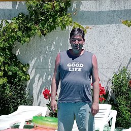 , 53 , 