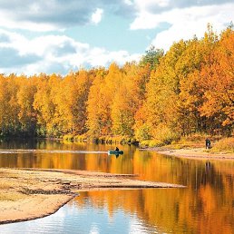 �������, �����, 40 ���