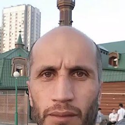, 46, 