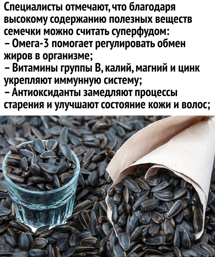 ����� ���� - 2