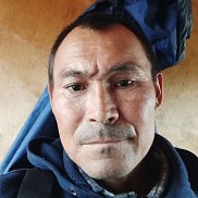 , 38 , 