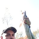  ,  , 40  -  18  2024    