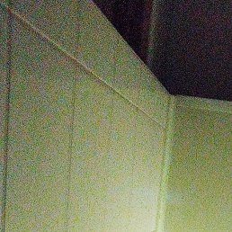 ������, �����������, 49 ���