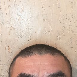 ���������, �����-���������, 40 ���