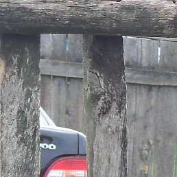 ��������, ������, 45 ���