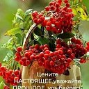 ���� �������, ������ - ��������� 23 ������� 2023 � ������ ���� ����������
