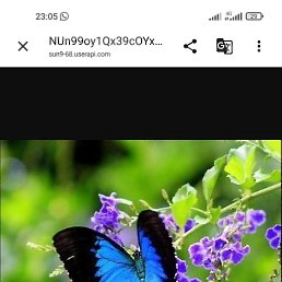 ���� Galina, �����-��������� - ��������� 20 ���� 2026