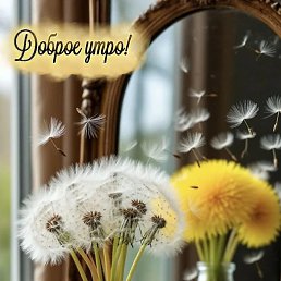 Jasur, �������, 54 ����