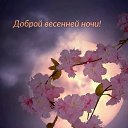 ���� �������, �������� - ��������� 12 ��� 2026 � ������ ������ ��������