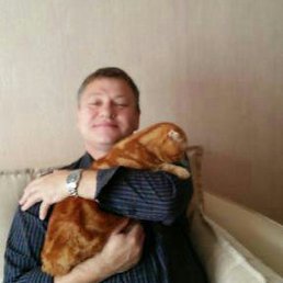 A����, �����������, 62 ����