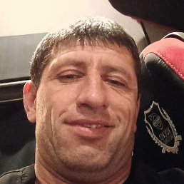 ������, ��������, 41 ���