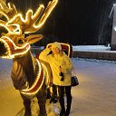 ���� �������, ������, 49 ��� - ��������� 23 ������ 2026 � ������ ���� ����������