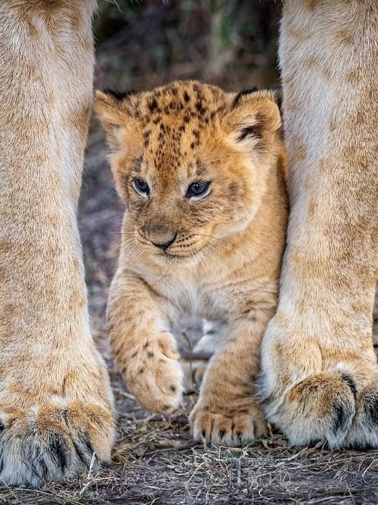    .       ,     ... - 3