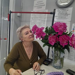 ���� ������, �������, 56 ��� - ��������� 8 �������� 2025