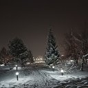 ���� ����, ����������� - ��������� 28 ������ 2026